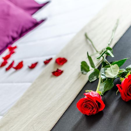 واي أي تي فيا سيفيلا مايرينا مايرينا ديل ألخارفي المظهر الخارجي الصورة